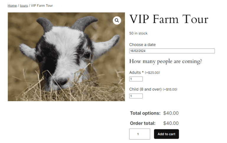 woocommerce show box